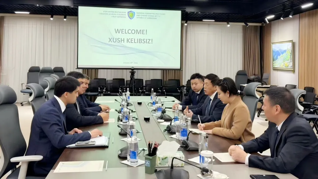 1772603739989619u8RI.png 50ee8d25-655e-43b3-bee1-aa7ec37d1e7b.png